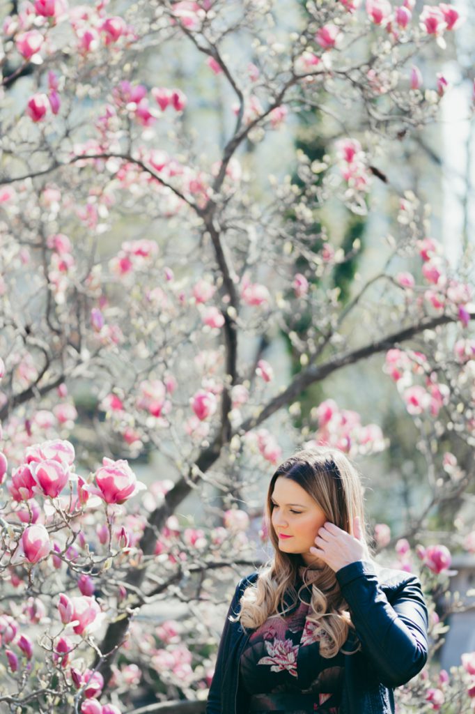 Kirschbluten Magnolien Wien Setagayapark